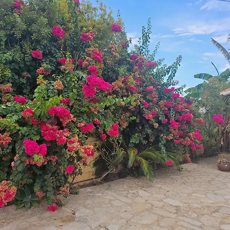 Casa De Flores Villa Dénia