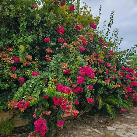 Casa De Flores